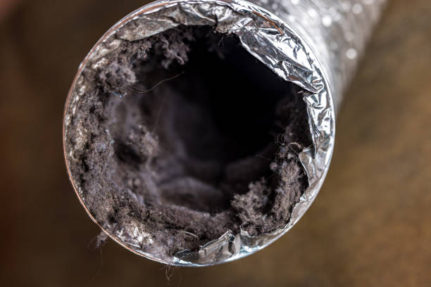 Best Emergency Air Duct Cleaning  in Clawson, MI